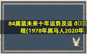 84属鼠未来十年运势及运 🐛 程(1978年属马人2020年运势)